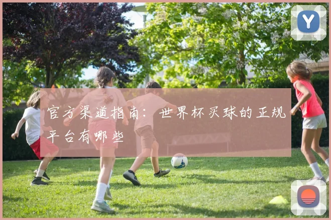 官方渠道指南：世界杯买球的正规平台有哪些