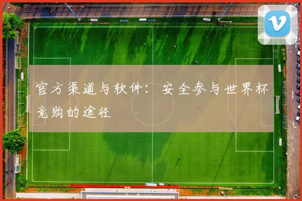 官方渠道与软件：安全参与世界杯竞购的途径