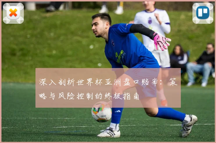 深入剖析世界杯亚洲盘口赔率：策略与风险控制的终极指南