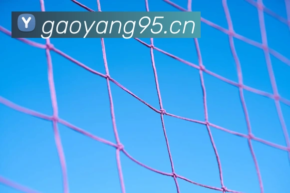 华体网官网主页APP 封面图